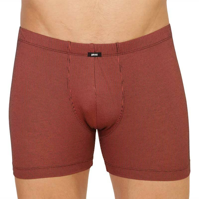 Pánský slip s nohavičkou 1