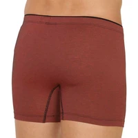 Pánský slip s nohavičkou 2