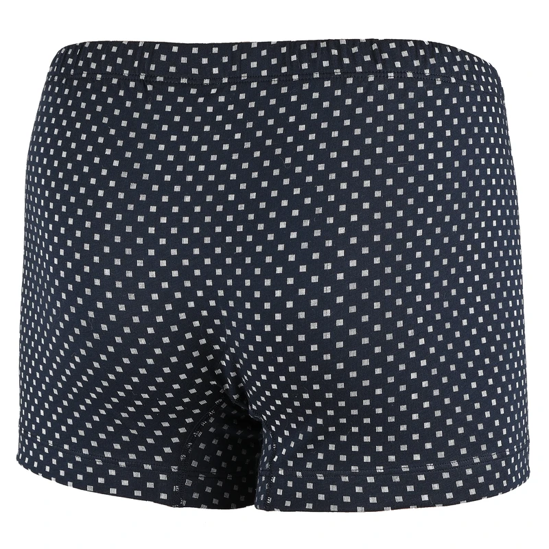 Pánský slip s nohavičkou 2