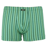 Pánský slip s nohavičkou 1