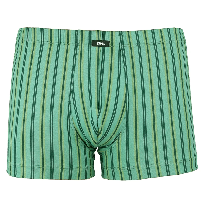 Pánský slip s nohavičkou 1