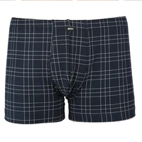 Pánský slip s nohavičkou 1