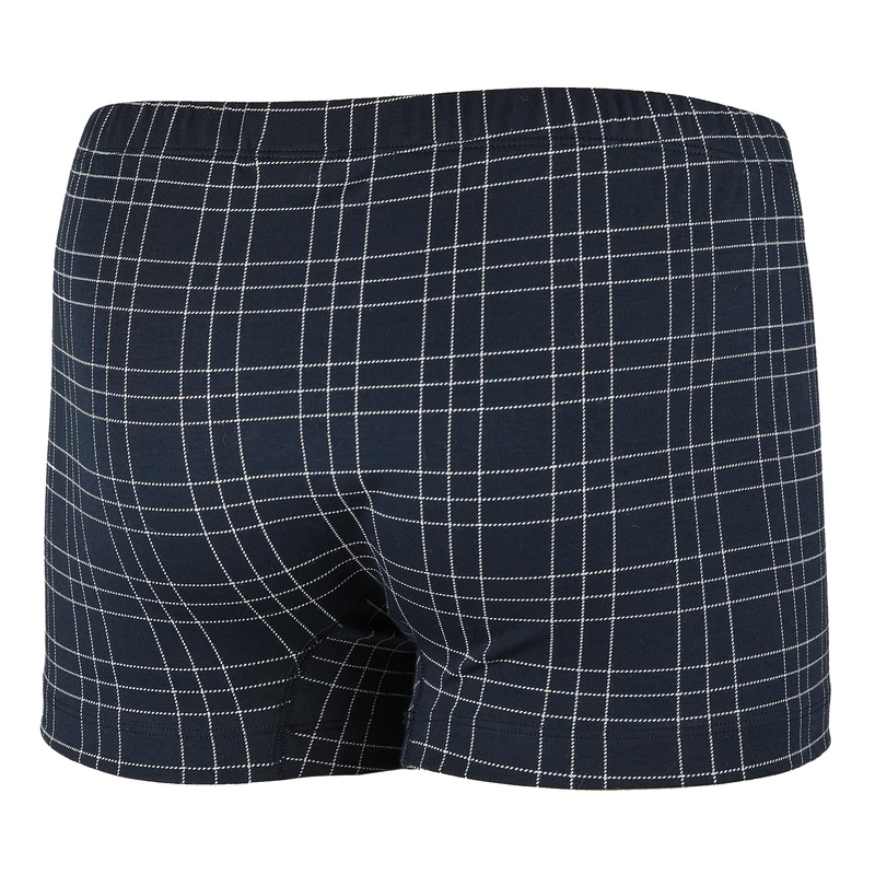 Pánský slip s nohavičkou 2