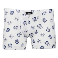 Chlapecký slip s nohavičkou 1