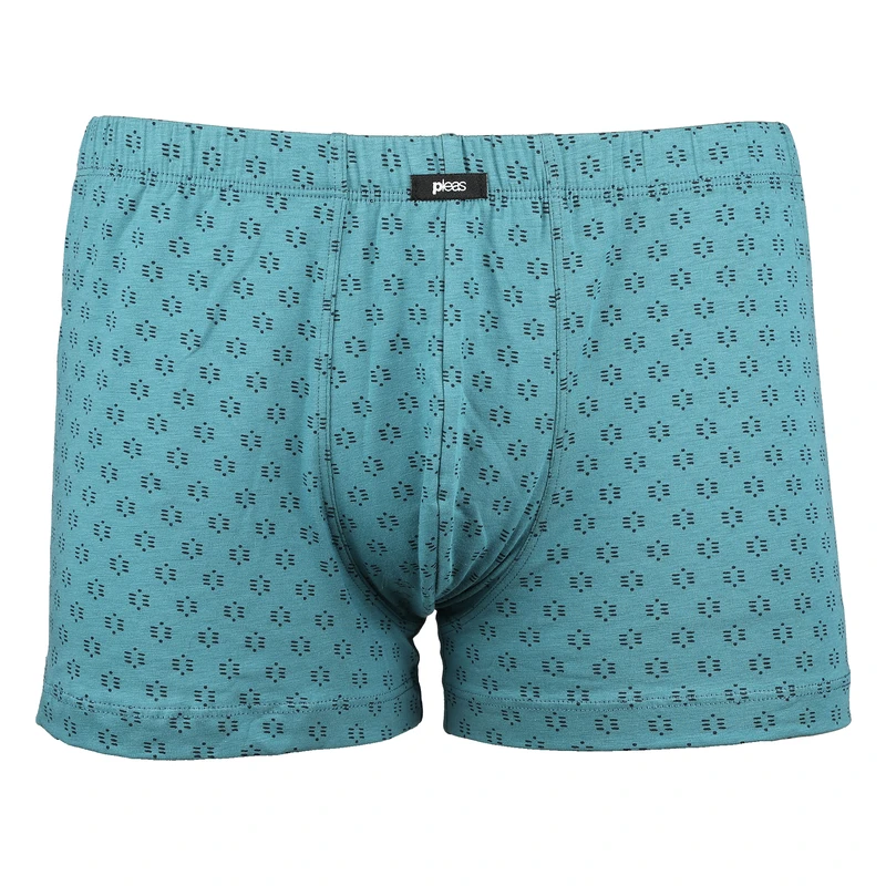 Pánský slip s nohavičkou 1