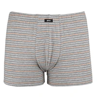 Pánský slip s nohavičkou 1