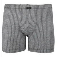 Pánský slip s nohavičkou 1