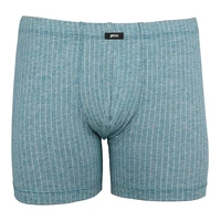 Pánský slip s nohavičkou 1