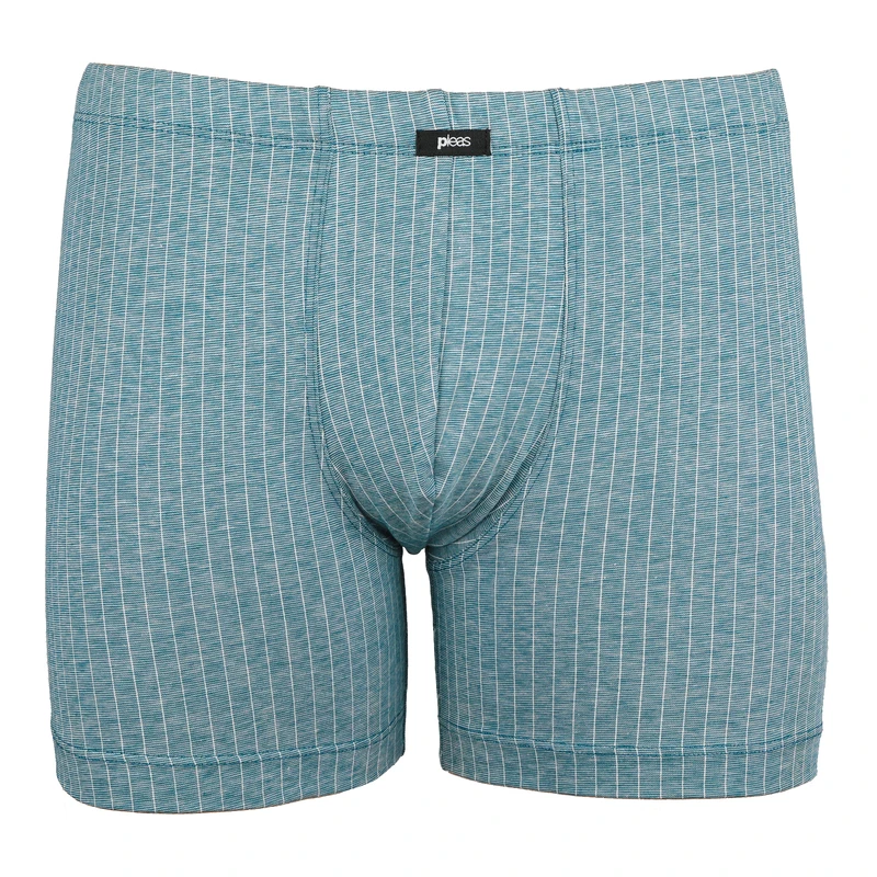 Pánský slip s nohavičkou 1