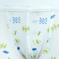 Chlapecký slip s nohavičkou 3