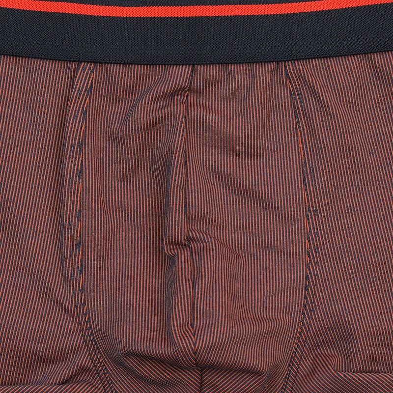 Pánský slip s nohavičkou 3