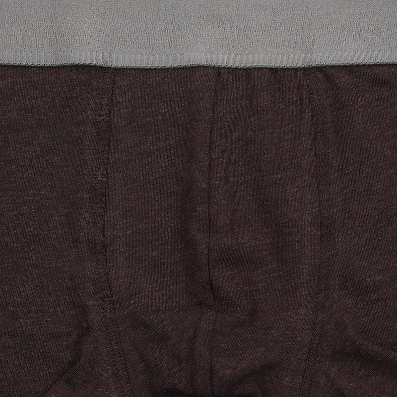 Pánský slip s nohavičkou 3