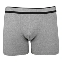 Pánský slip s nohavičkou 1