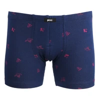 Chlapecký slip s nohavičkou 1