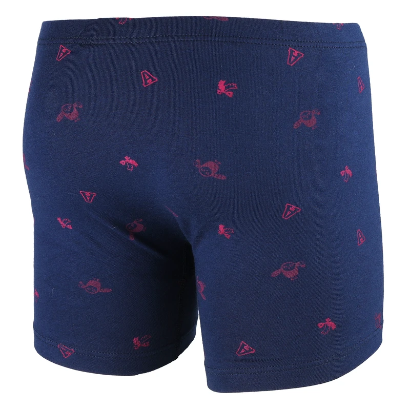 Chlapecký slip s nohavičkou 2